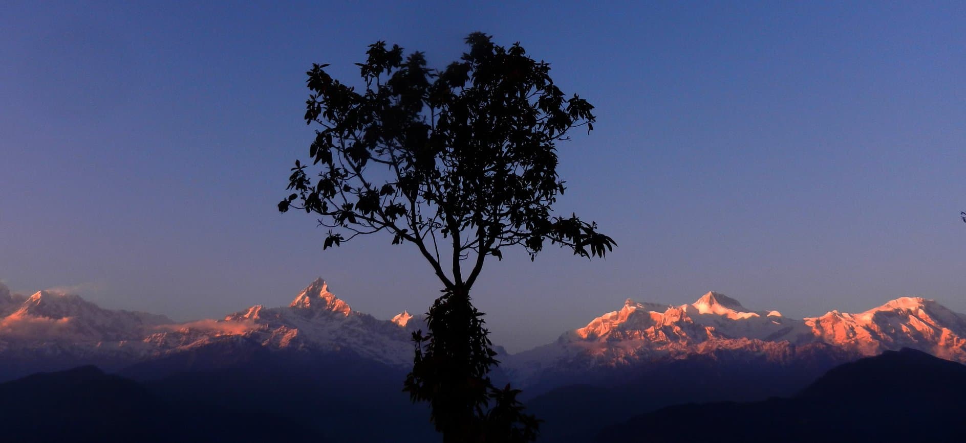 View of the Himalayas from Sarangkot